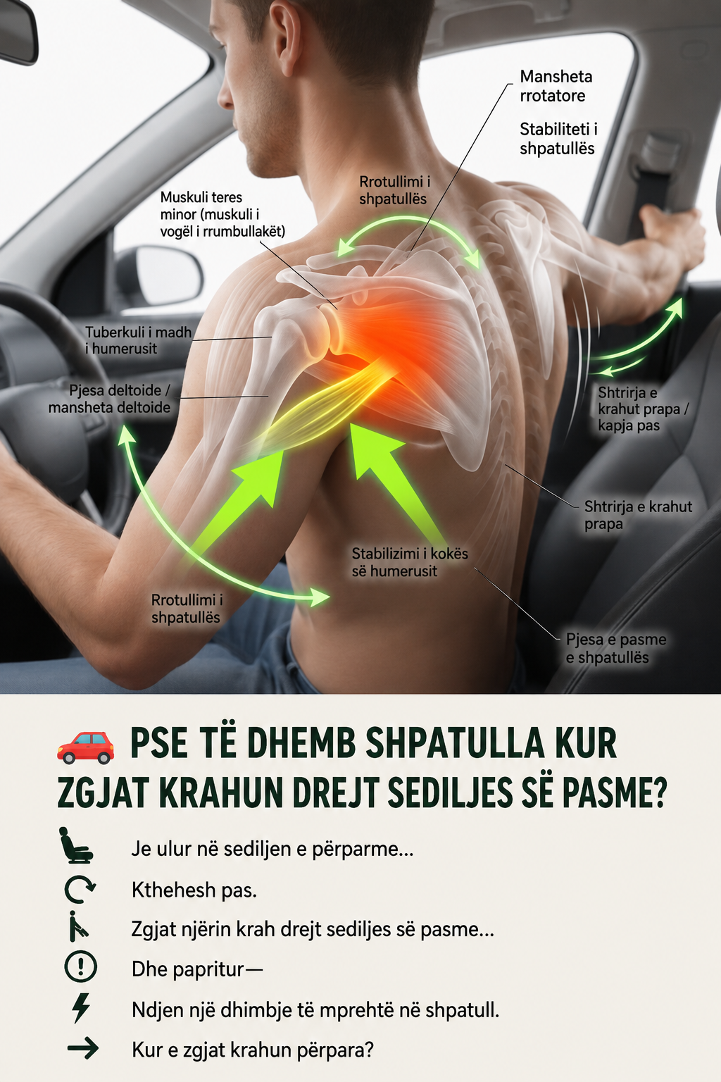 Ilustrim anatomik i shpatullës që tregon manshetën rrotatore, muskulin teres minor dhe lëvizjen e krahut drejt pas